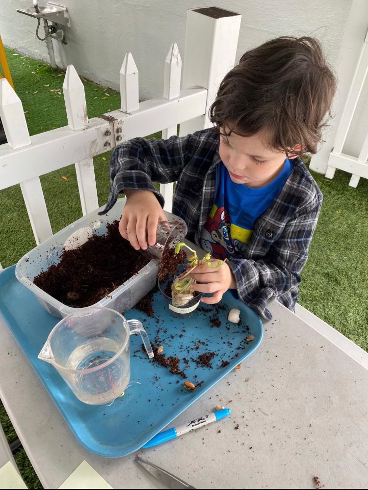 Gallery Playhouse Preschool & Kindergarten